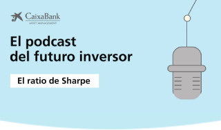 The Sharpe Ratio