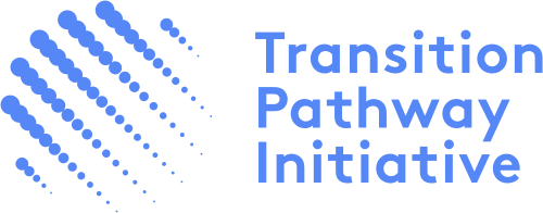 Logo TPI'